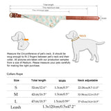 Bowknot Collars
