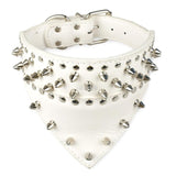 Collars Leather Spiked Studded Collar