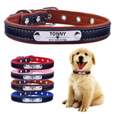 Dog Collar Leather Puppy ID Name Custom Engraved XS-L