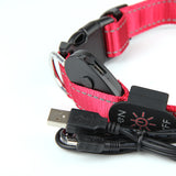 USB LED Dog Collars - SindiGoods
